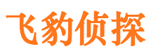 法库市侦探调查公司